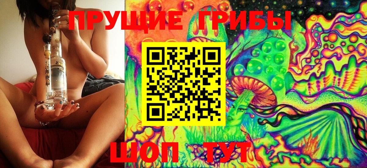 где купить наркоту  Галлюциногенные грибы Psilocybe  Вход с VPN  Россия 