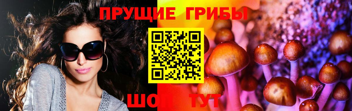 ГАШ Россия